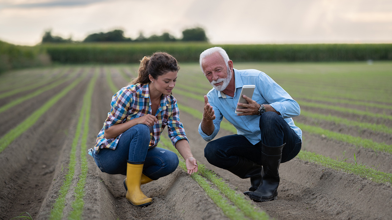 Farm families planning succession